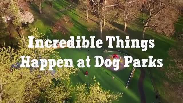 Incredible things happen at dog parks! Beneful has seen first-hand the positive effect that dog parks have on dogs, owners and the overall community over the past six years with the Dream Dog Park program. Incredible things happen at dog parks! Beneful has seen first-hand the positive effect that dog parks have on dogs, owners and the overall community over the past six years with the Dream Dog Park program.