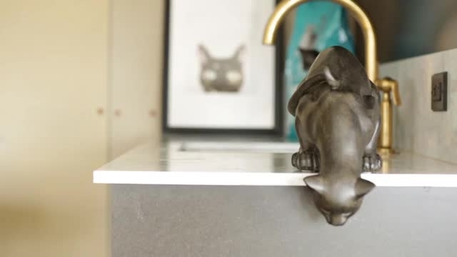 Check out The Purina ONE Whole Body Health Hotel, where cats greeted guests and cat-themed amenities and cat health experts underscored the importance of lifelong whole body health for cats.