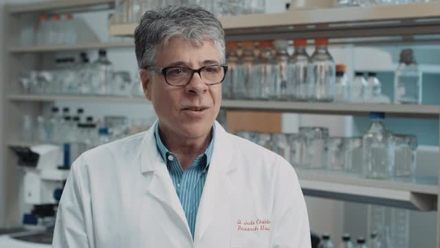 Soundbites taken from an interview with Brian Sorrentino, concerning the study and the corresponding clinical trial and its potential impact on SCID treatment. Soundbites taken from an interview with Brian Sorrentino, concerning the study and the corresponding clinical trial and its potential impact on SCID treatment.