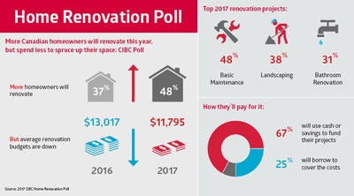Home Renovation Poll