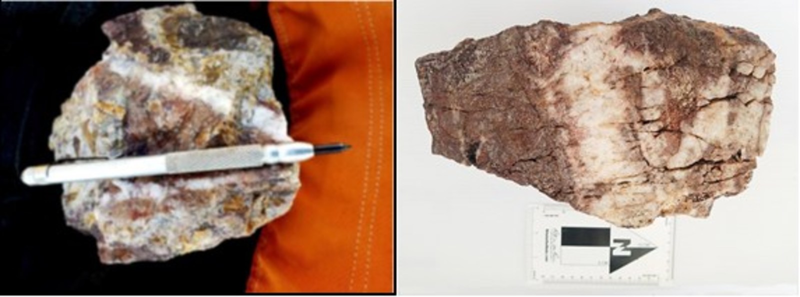 Figure 5 Nava Zone – Epithermal Stockwork Quartz Veinlets with Boxworks of Hematite