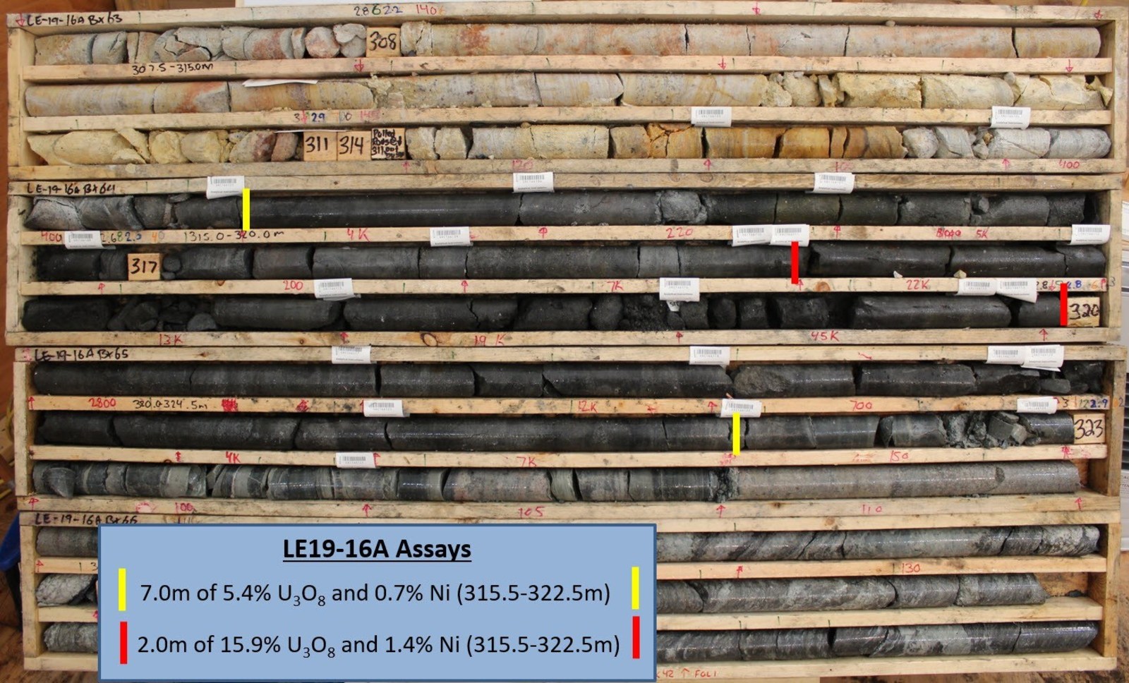 Figure 4 –LE19-16A Core Photo Annotated with Assay Results