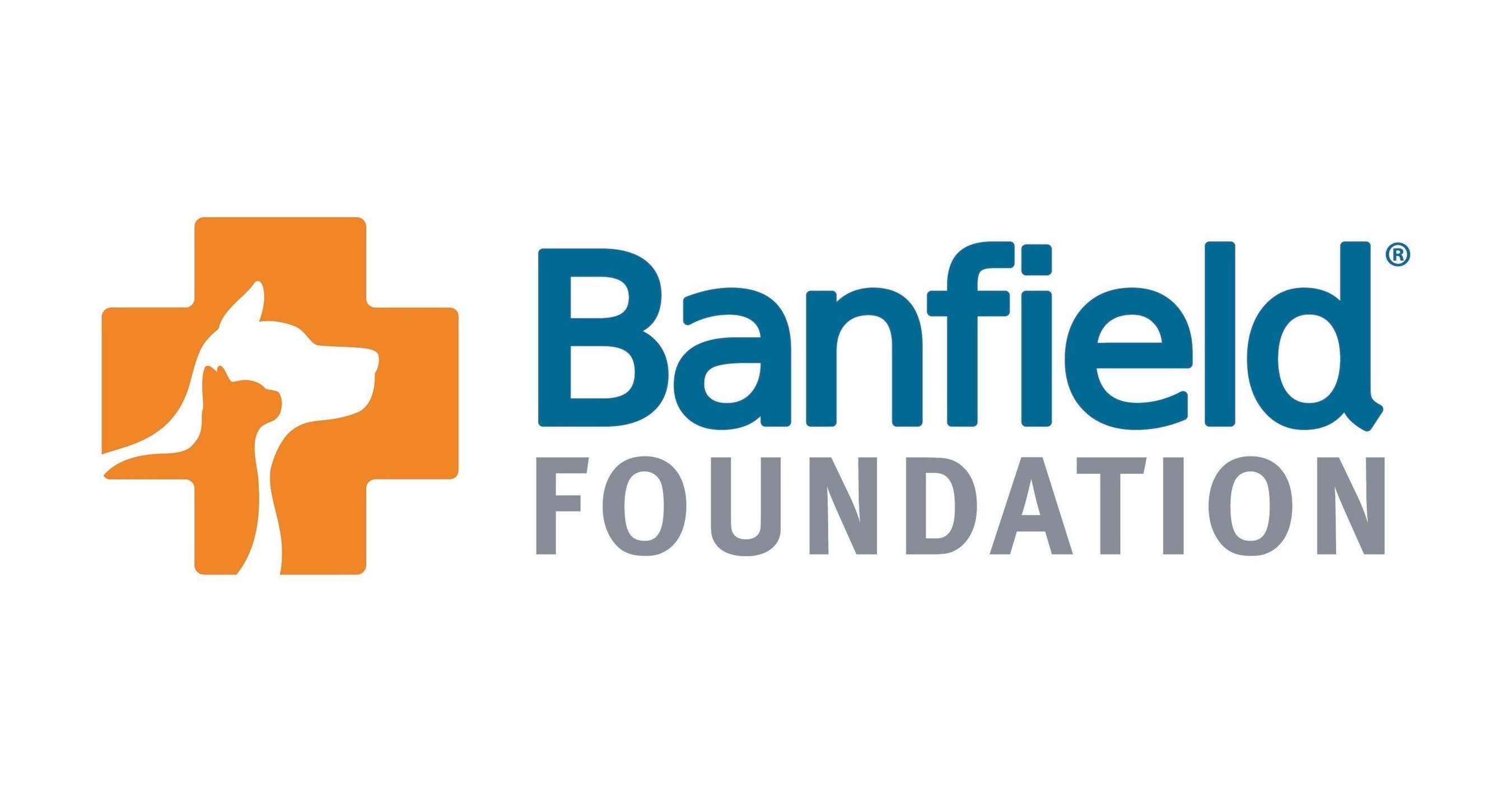 Banfield город. Банфилд. Банфилд. Фк банфилд. Сармьенто жунин vs банфилд.