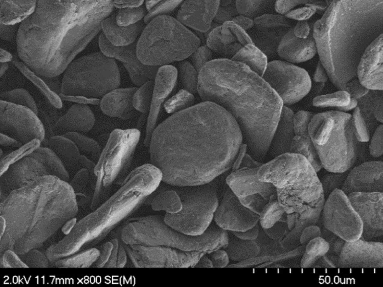 Figure 1 - SEM image of spheronised graphite particles