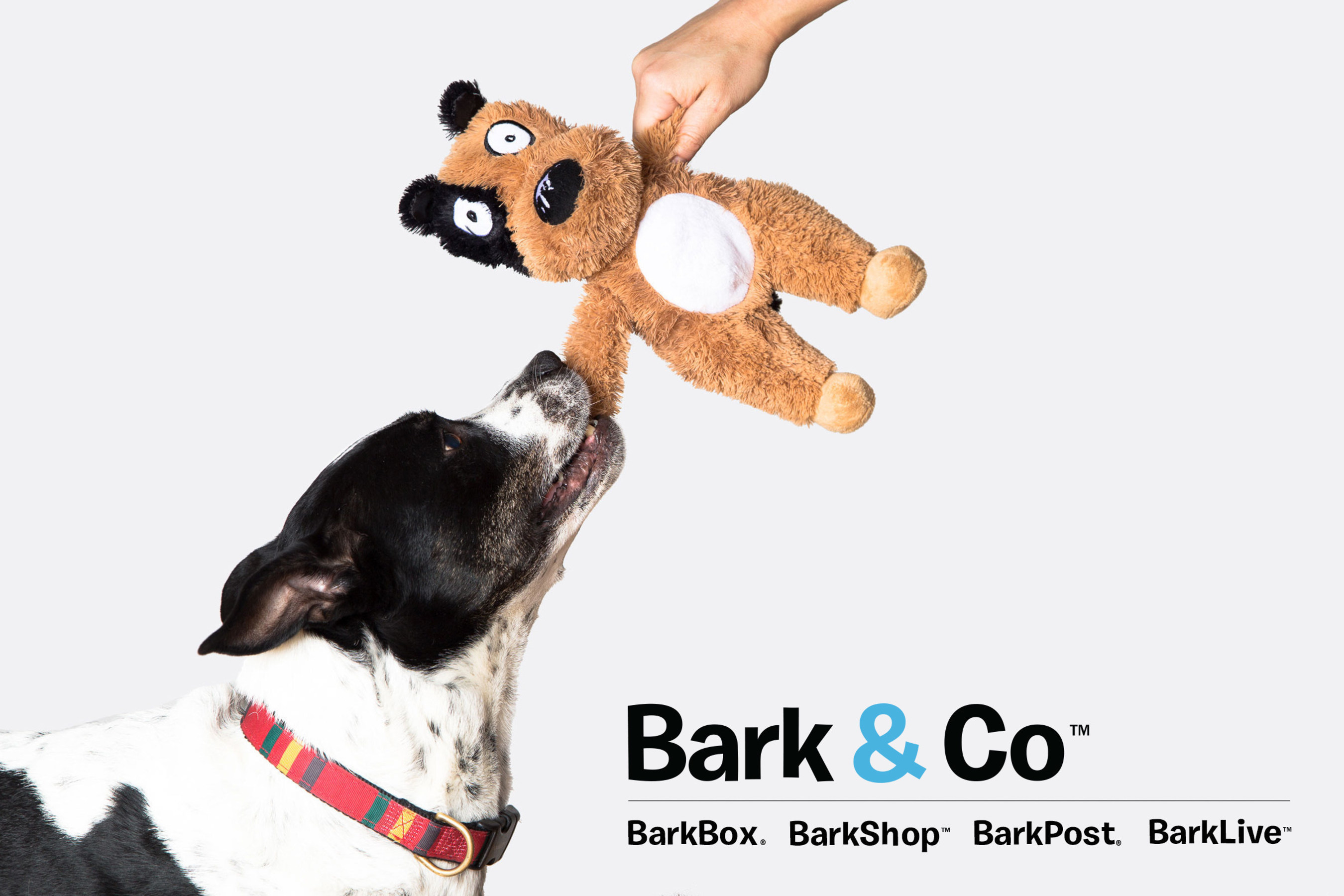 Bark you want it. To bark. Bark you want it. Bark you want it. Children comic books about a dog.
