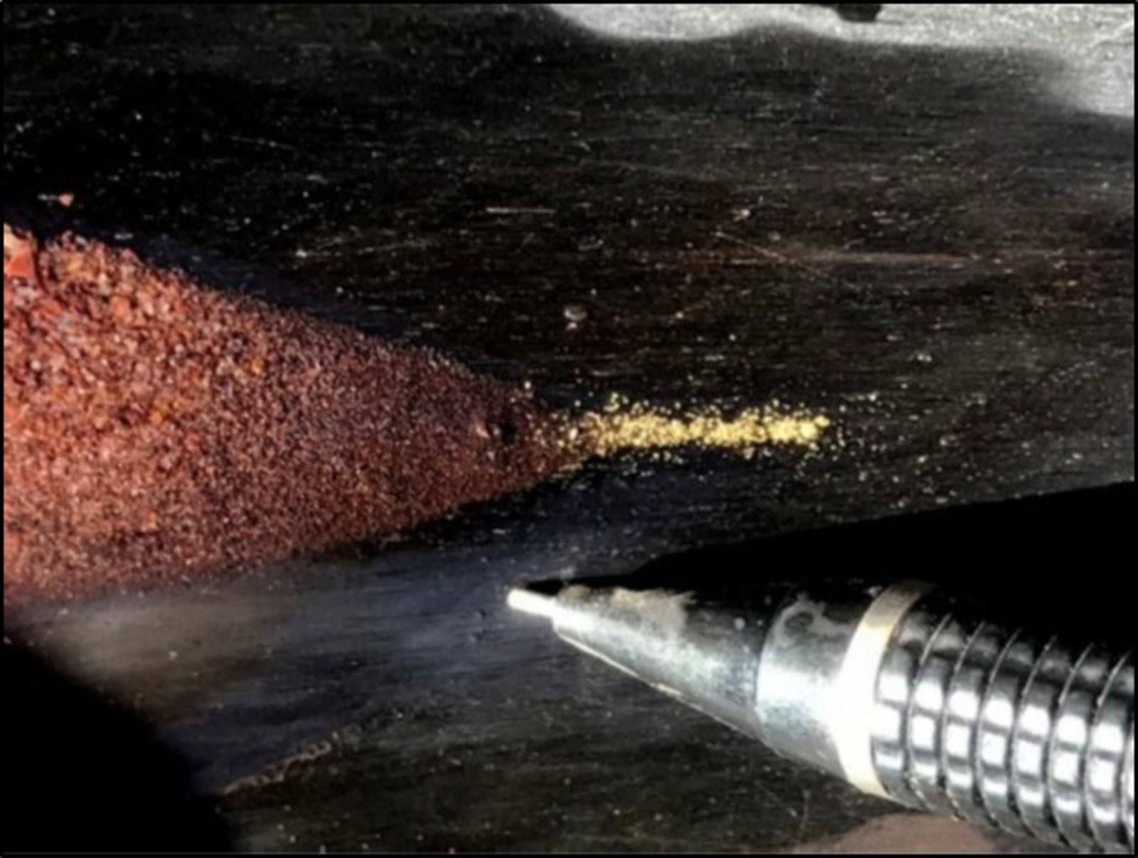 Figure 1 Visible Gold from Panning of Epithermal Quartz Vein Channel Sample – Nava Zone mineralization in the photograph is not necessarily representative of the mineralization hosted on the property