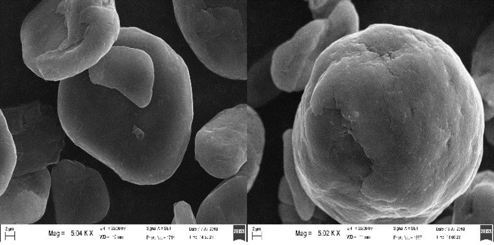 Figure 1 - SEM image of spheronised graphite particles
