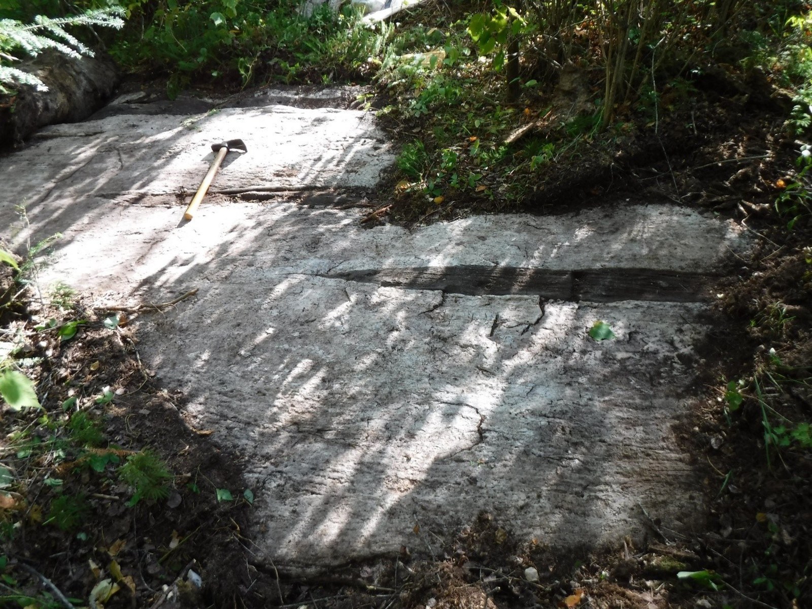 Figure 2 Petalite dyke to the west of Jesse’s North Dykes, Paterson Lake