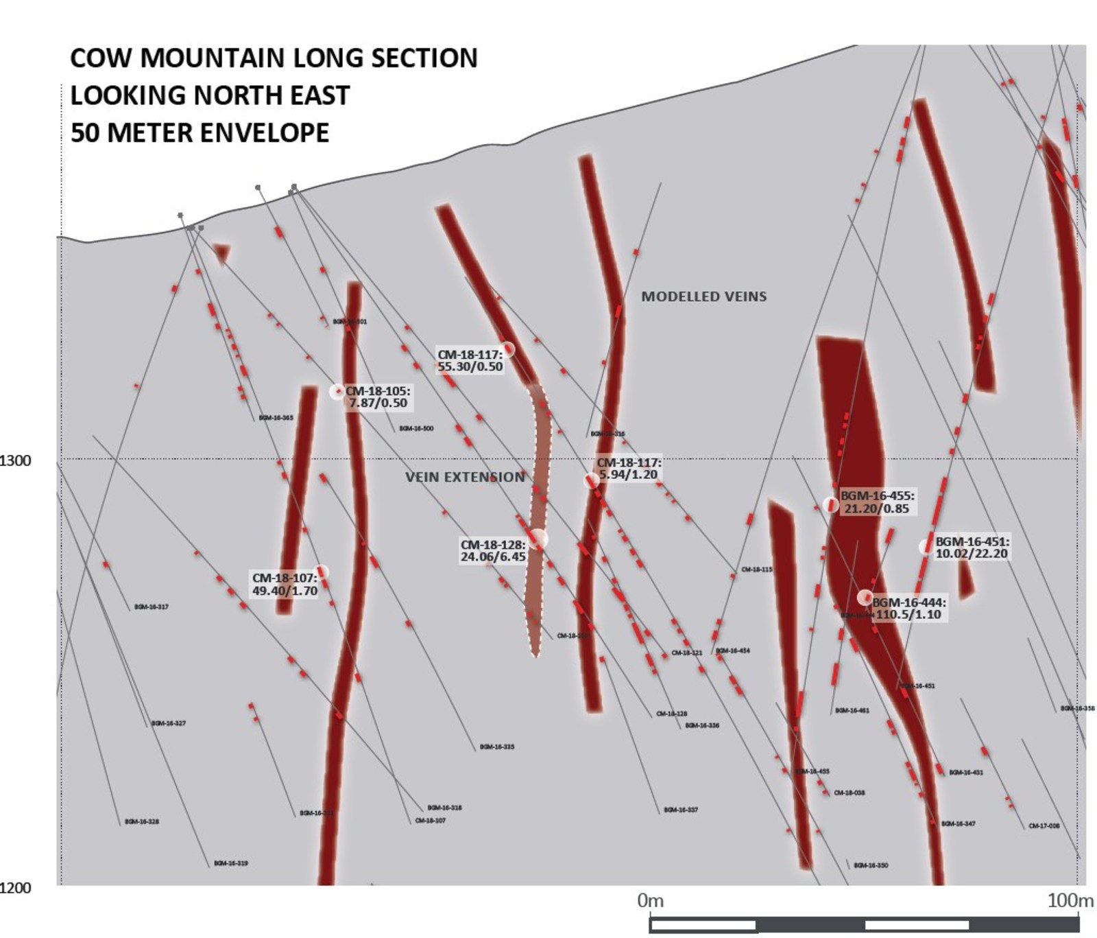 Cow Mountain Long Section