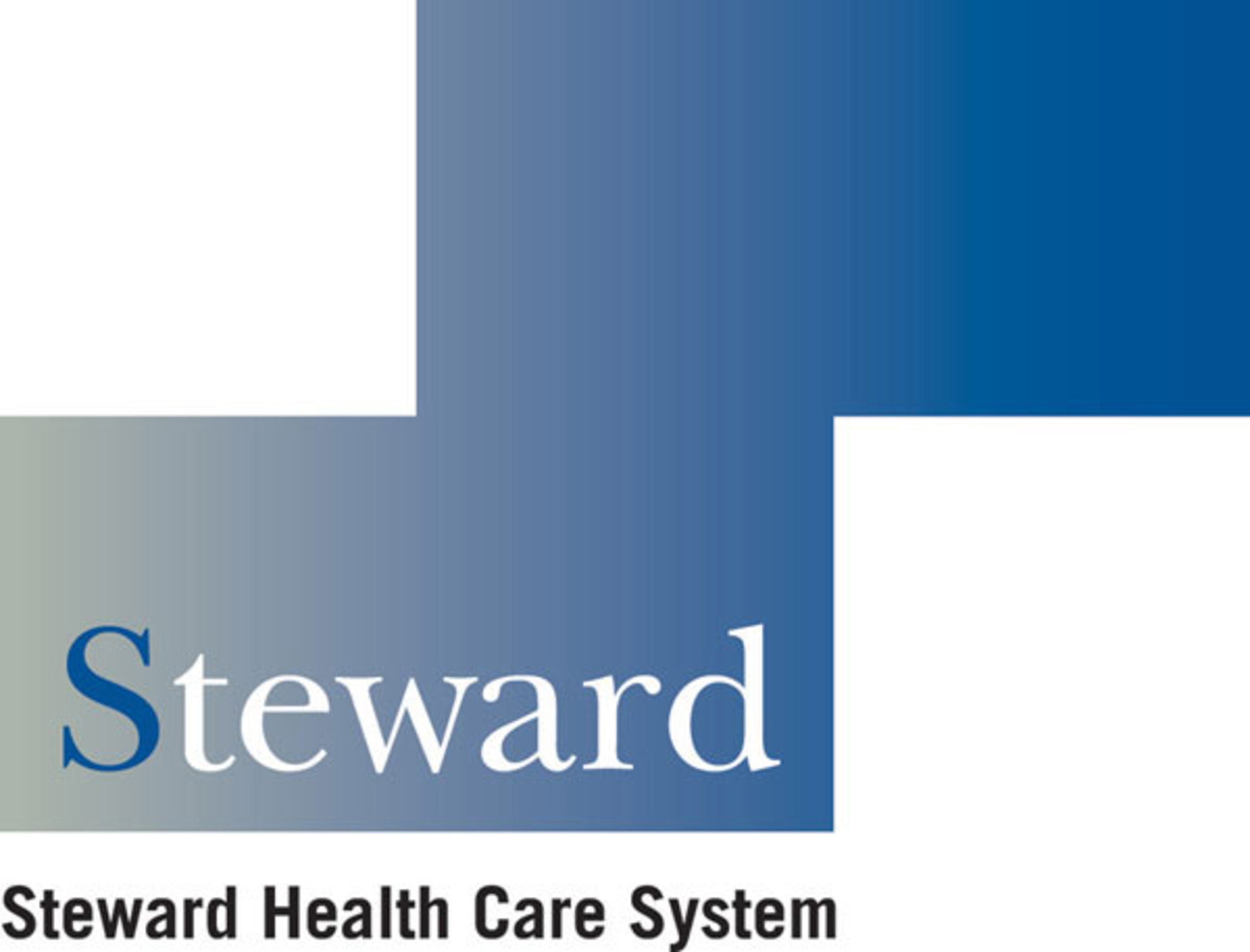 Health steward. Nimeta tizimi logo.