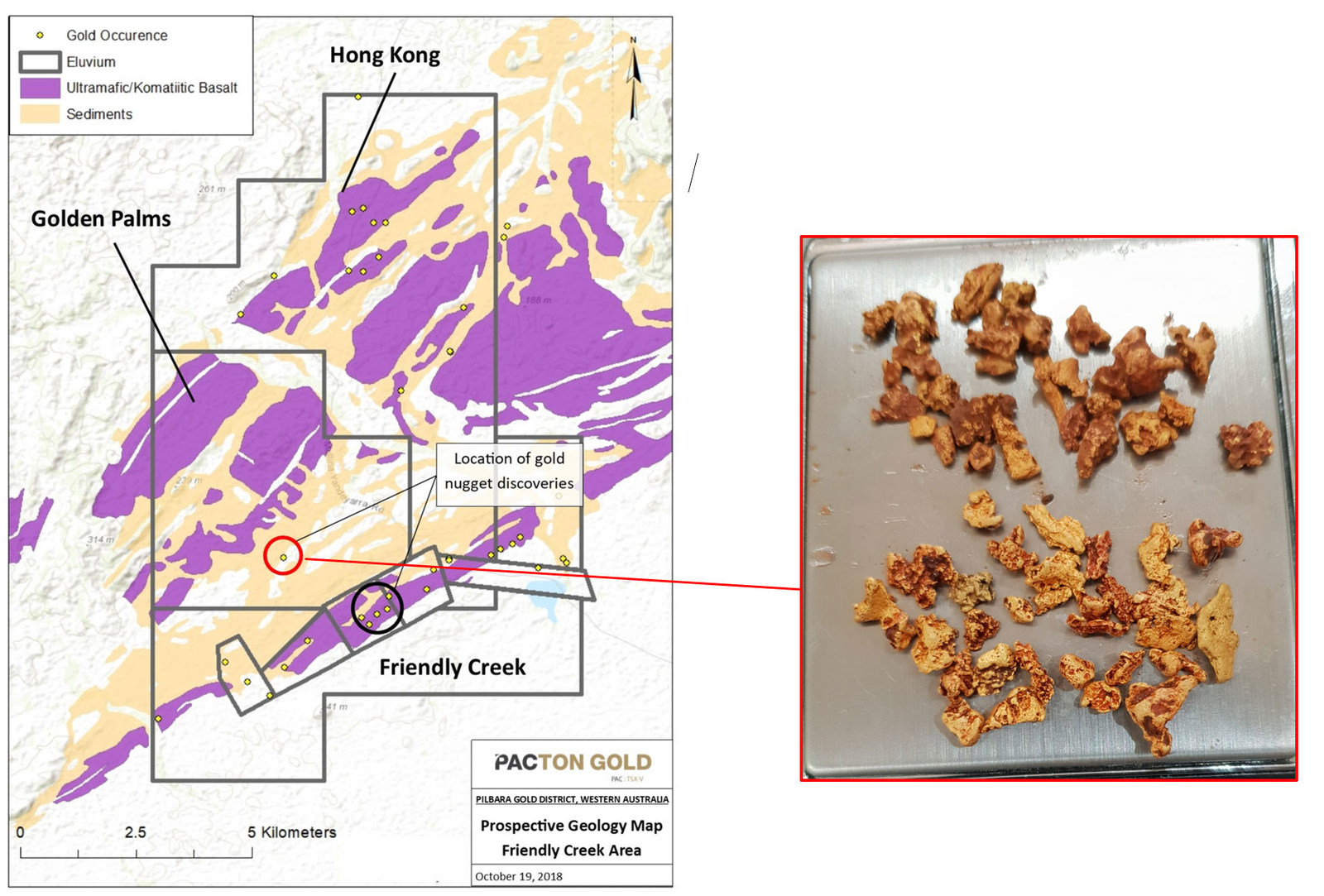 Figure 2. Golden Palms and adjacent Pacton tenements. Mineralized Mesoarchean basal unit, Western Australia MINEDEX gold occurrences, and location of recent gold nugget discoveries.
