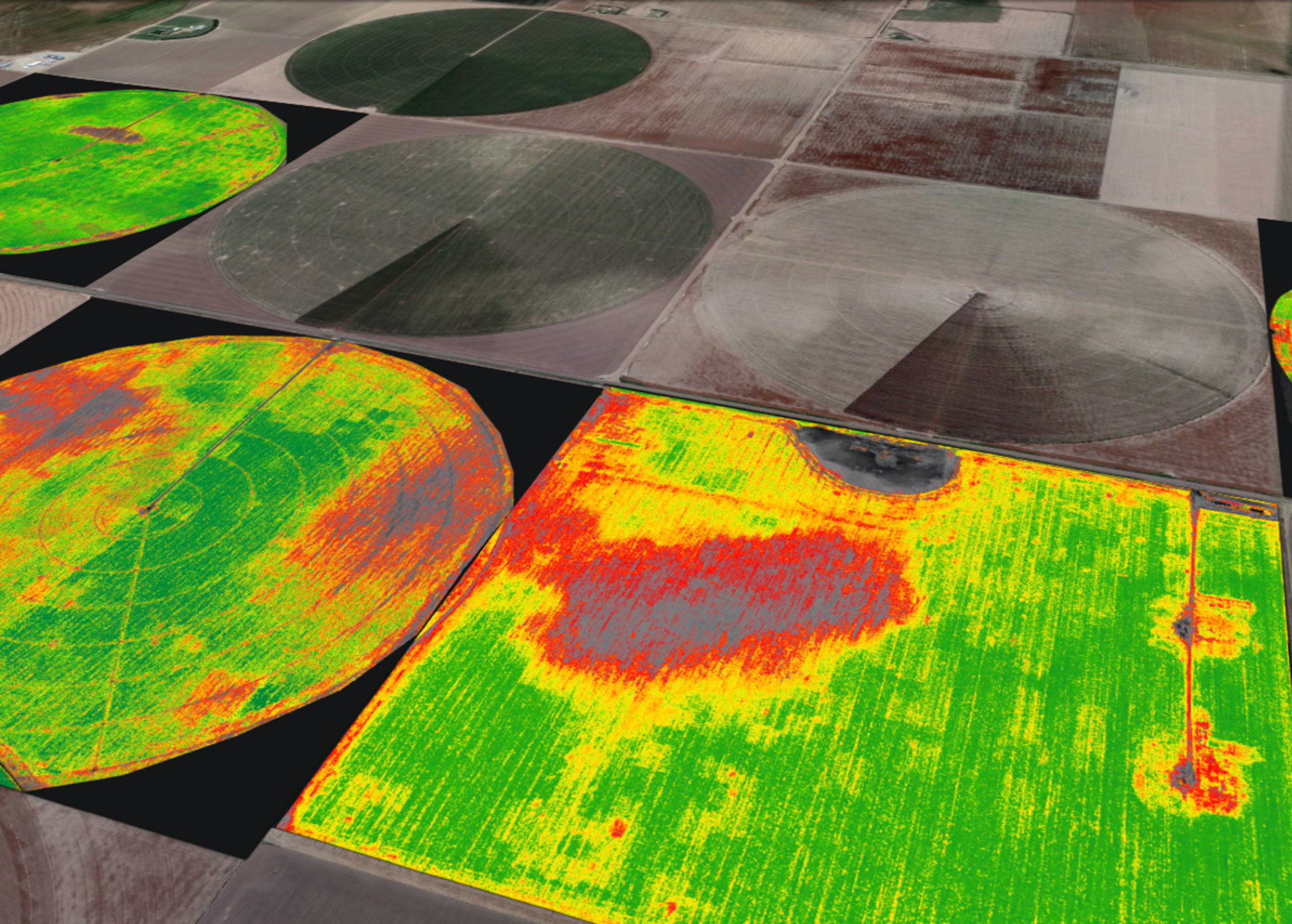 Image: Agribotix™ FarmLens™ Image Processing and Analytics Solution