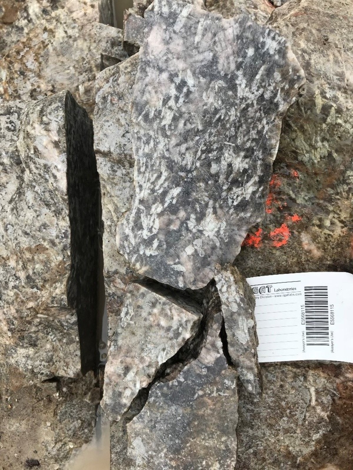 Figure 1 - channel sample which returned 1.56% Li2O over 1.20 metres