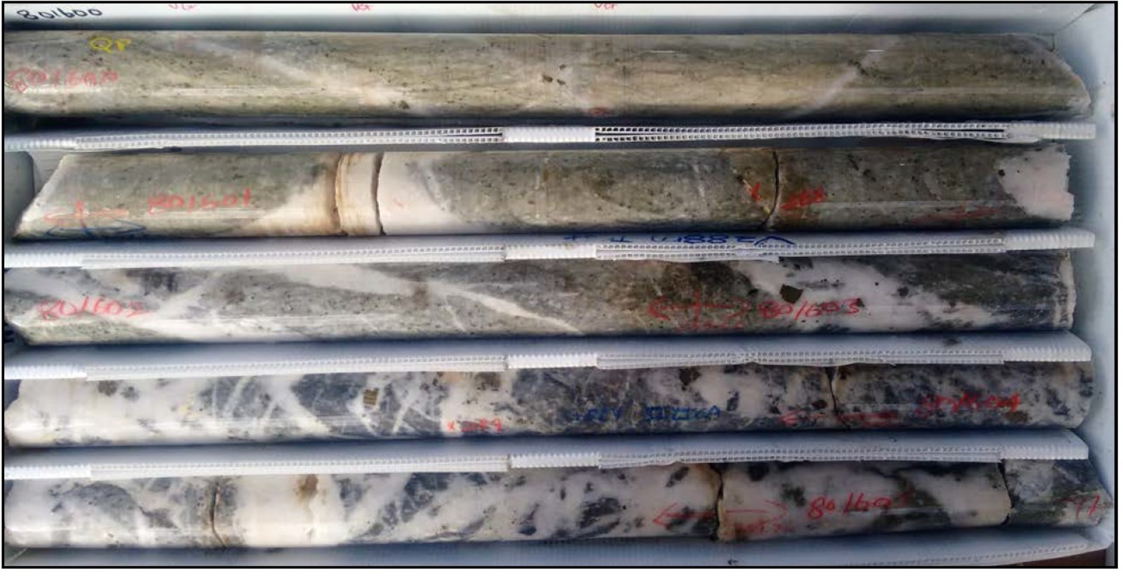 Core Photo illustrating silica-sericite-pyrite alteration and extensional veining from hole MKD 187.