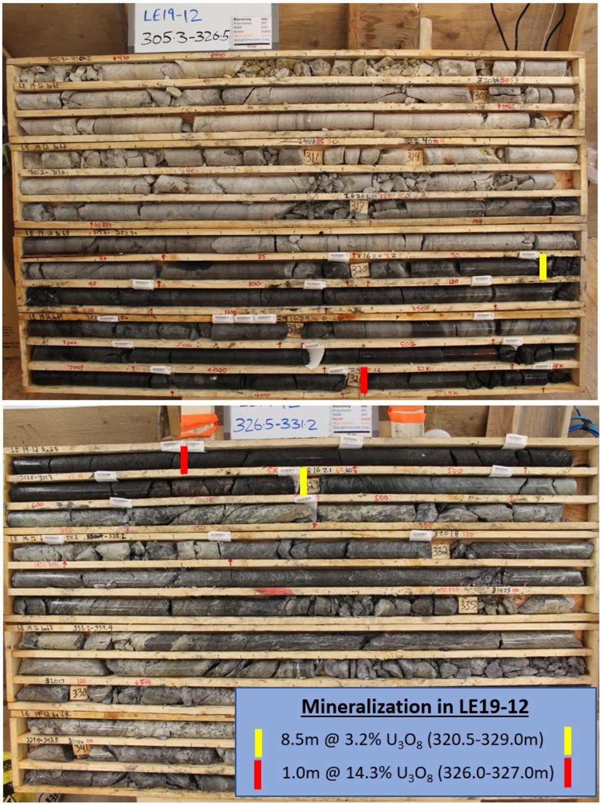 Figure 5 – Core Photos of Mineralization in Drill Hole LE19-12
