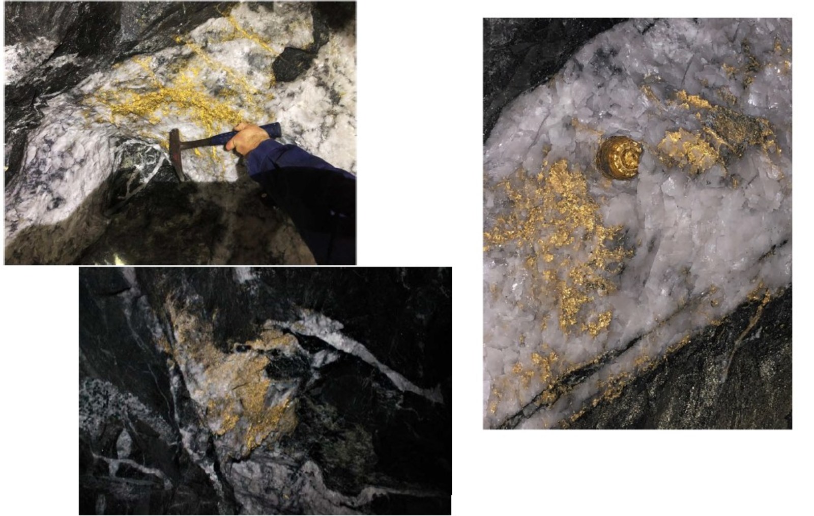 Fig. 3: Gold in quartz from 15 level at Beta Hunt mine recovered in September 2018