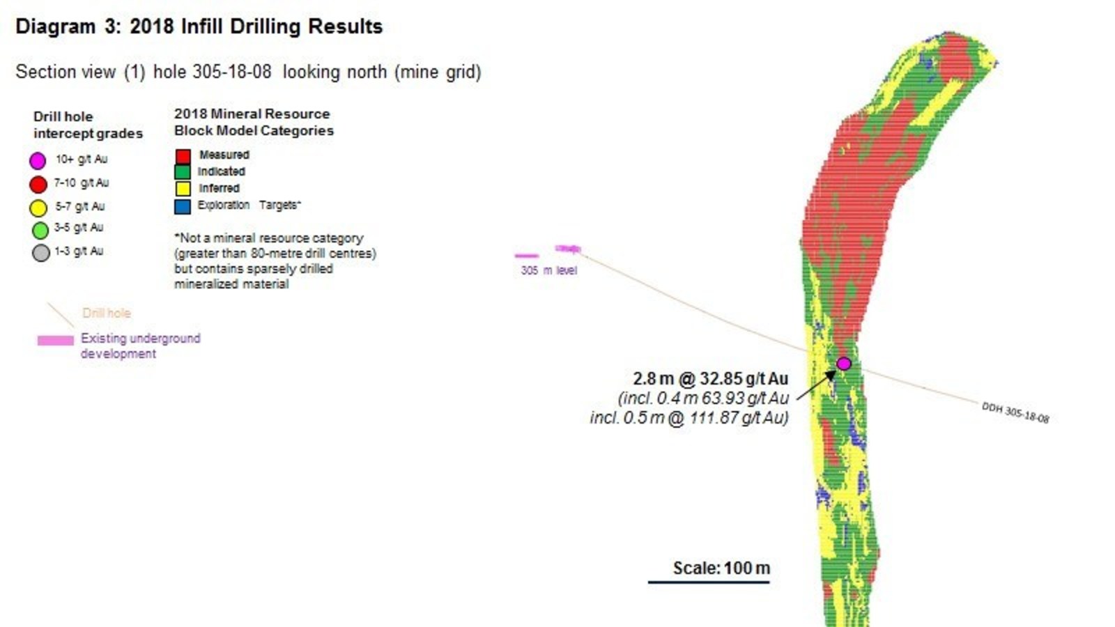 Diagram 3 : 2018 Infill Drilling Results