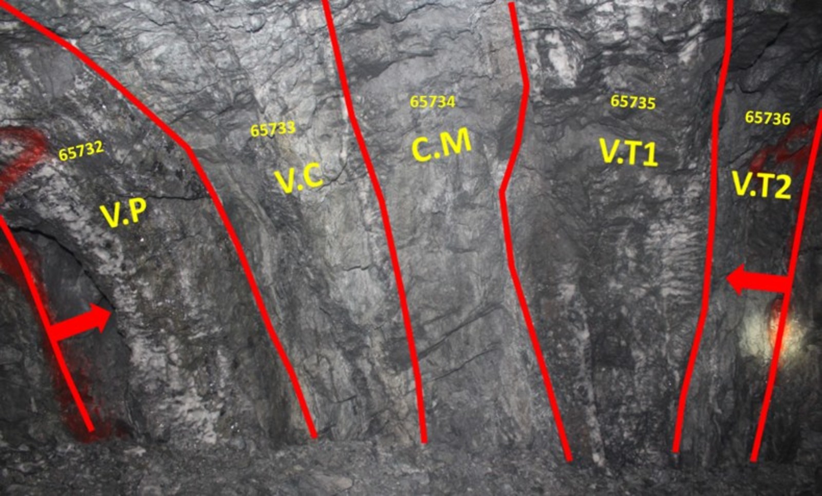 Constancia Vein