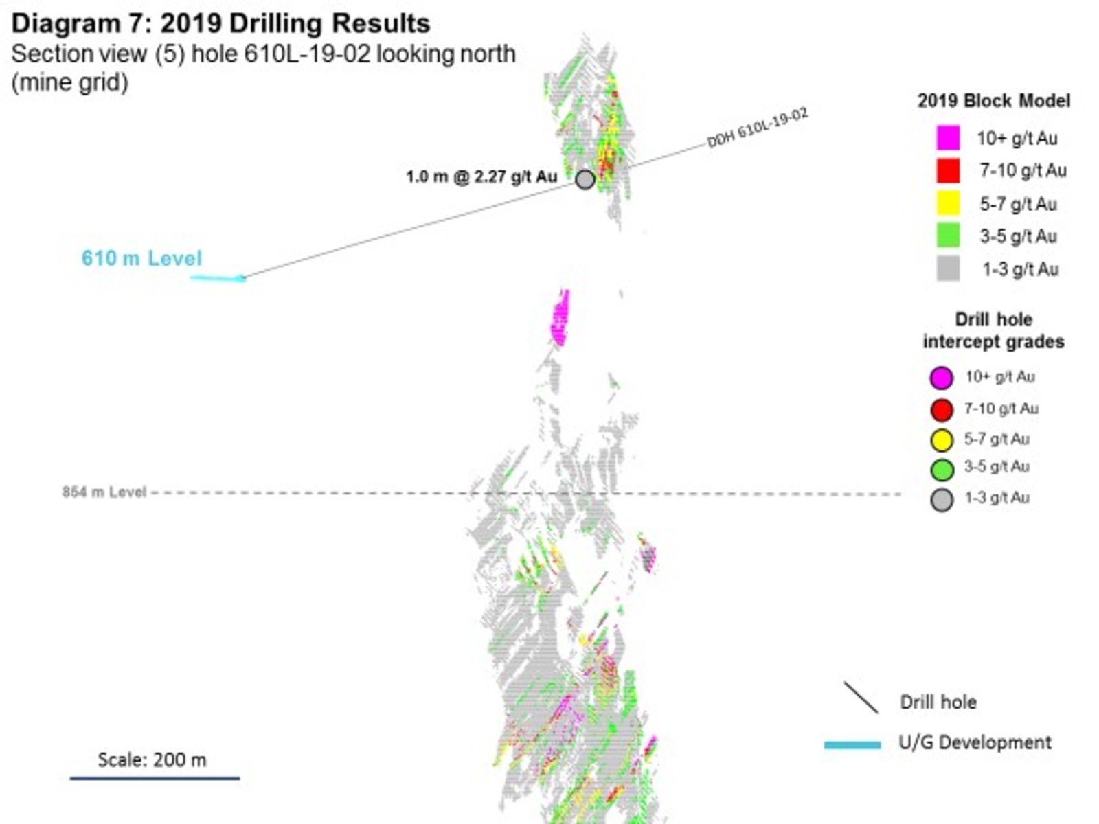 Diagram 7: 2019 Drilling Results