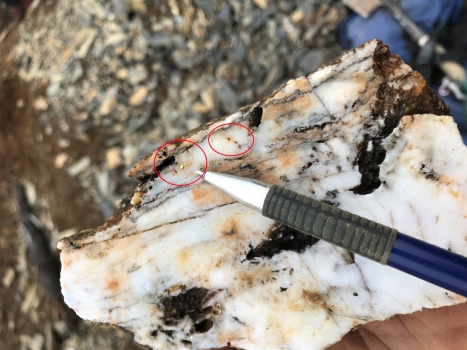 The ‘’layered’’ aspect of the veins appears to be a “crack and fill’’ setup with local open space zones in the central part of the vein. Visible gold has been frequently observed along a specific pulse