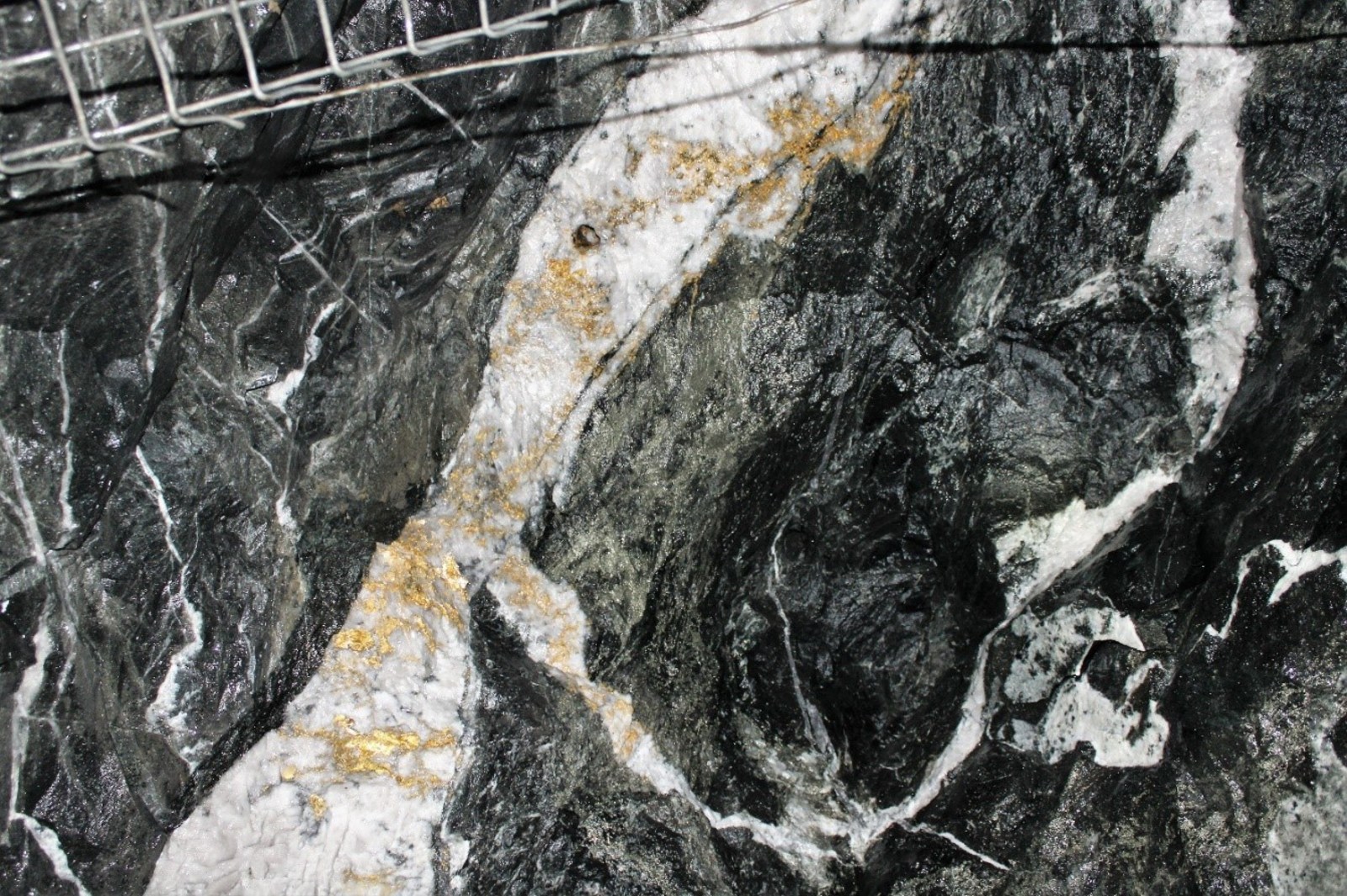 Figure 2: Looking up, current air leg back - gold in quartz with bootleg, pyritic sediments.