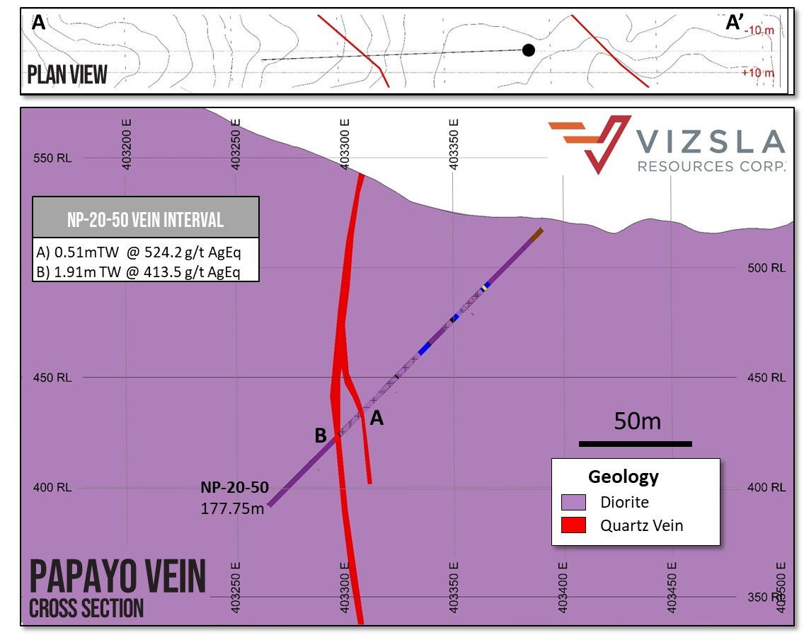 Figure 2: Cross section of Papayo hole NP-20-50 (CNW Group/Vizsla Resources Corp.)