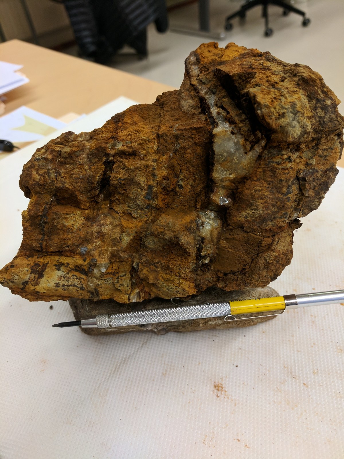Stockwork Veining and Alteration of Conglomerate