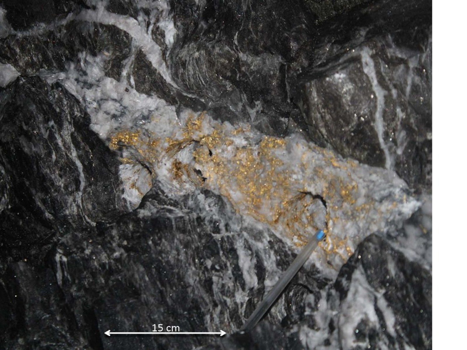 Figure 1: Gold in extensional vein in 16L drive at Beta Hunt Mine