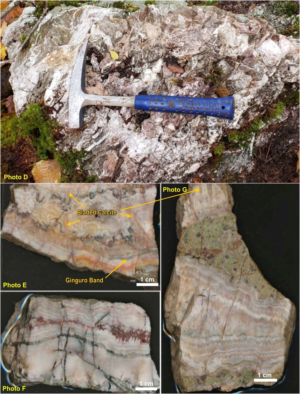 Stockwork and banded quartz veins