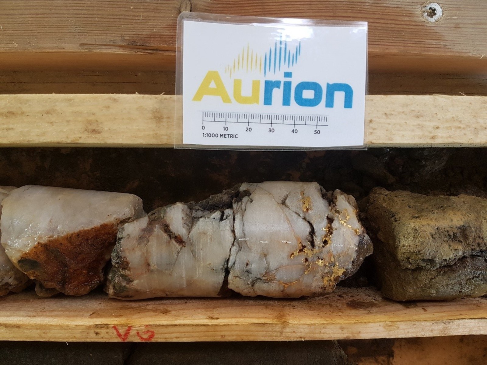 Coarse visible gold in drillhole AM18042; Note mineralization may not be representative across the whole property