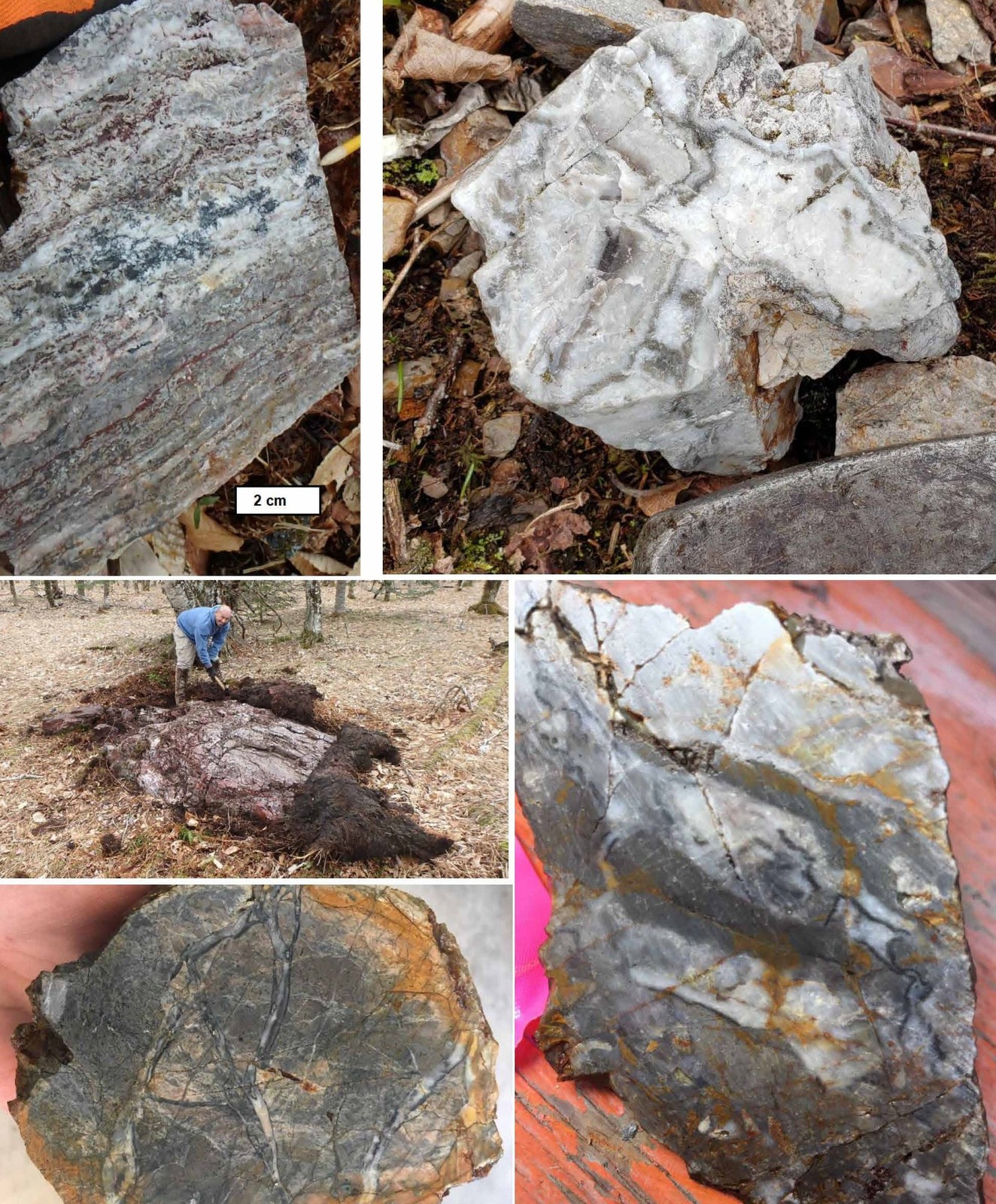 Textures of various quartz veins very recently collected at Shot Rock,