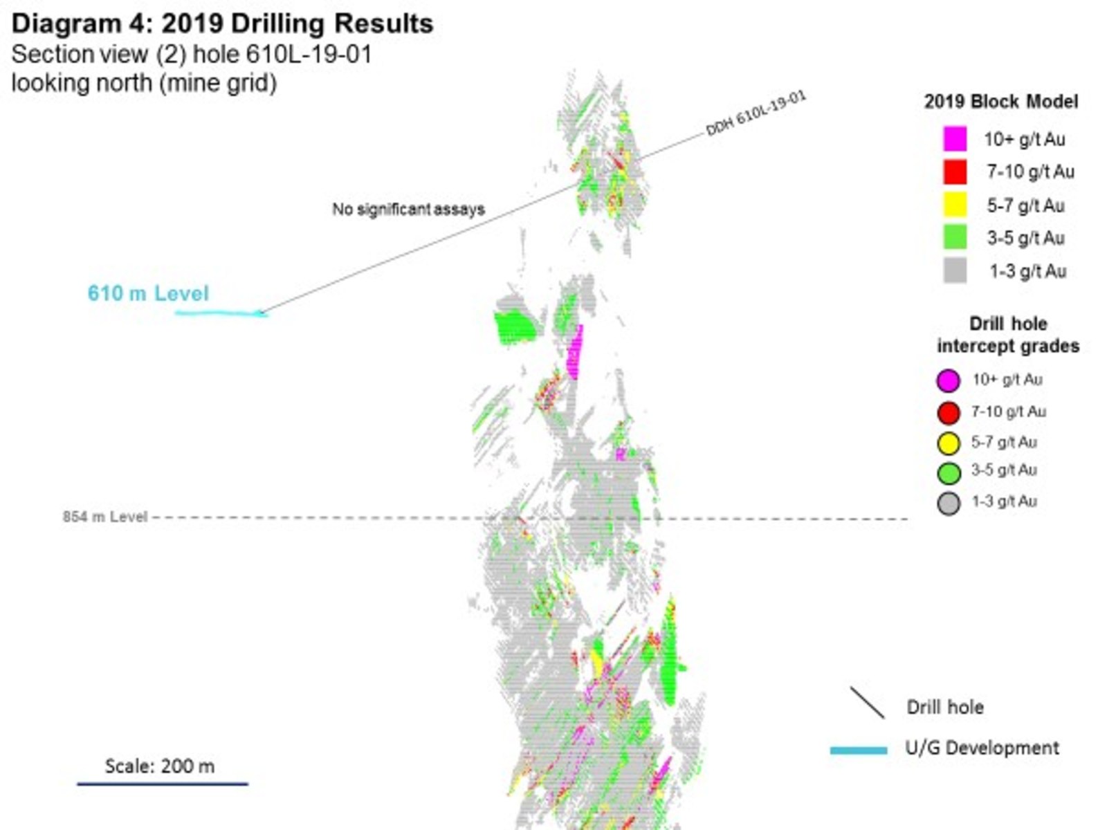 Diagram 4: 2019 Drilling Results