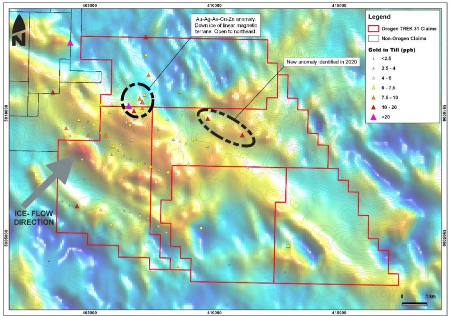 Figure 3. Gold in basal till over Reduced to Pole Total Magnetic Intensity. Black circle highlights till anomaly and arrow represents till transport direction. (CNW Group/Orogen Royalties Inc.)