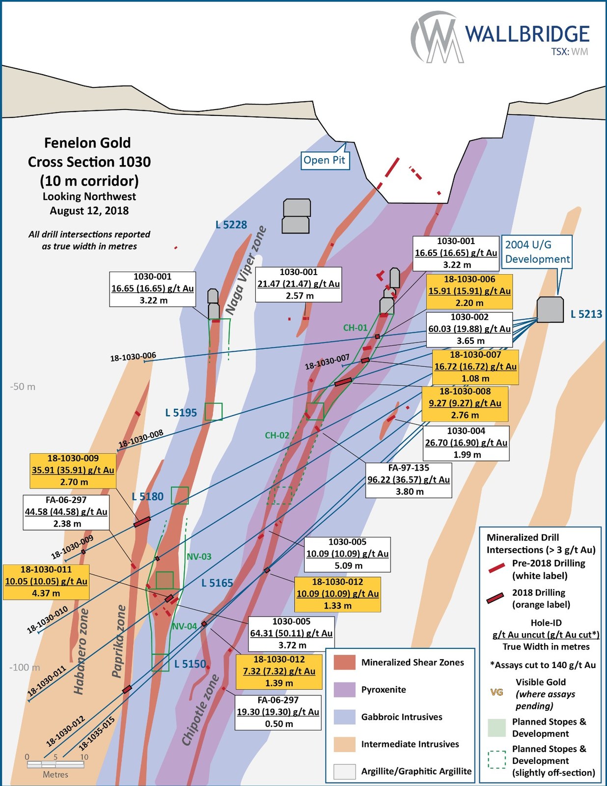 Figure 5:  Fenelon Gold, Cross Section 1030