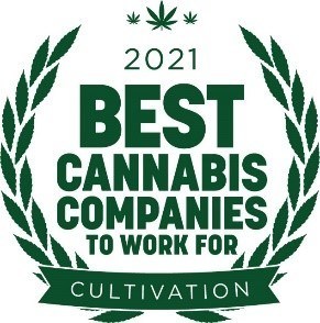 2021 Best Cannabis Companies to Work for Logo (CNW Group/MariMed)