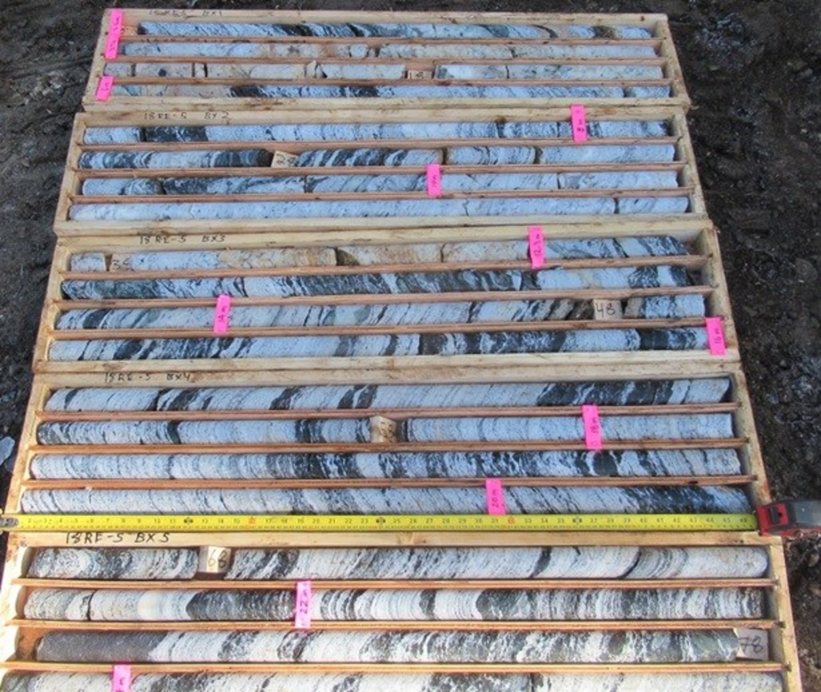 Figure 1. Drill core from REN drill program