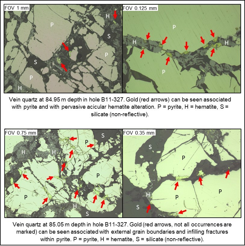 Figure 2: Photomicrographs (reflected PPL) of polished thin sections from historical drill core prepared from the Box Deposit high grade core. (CNW Group/Fortune Bay Corp.)