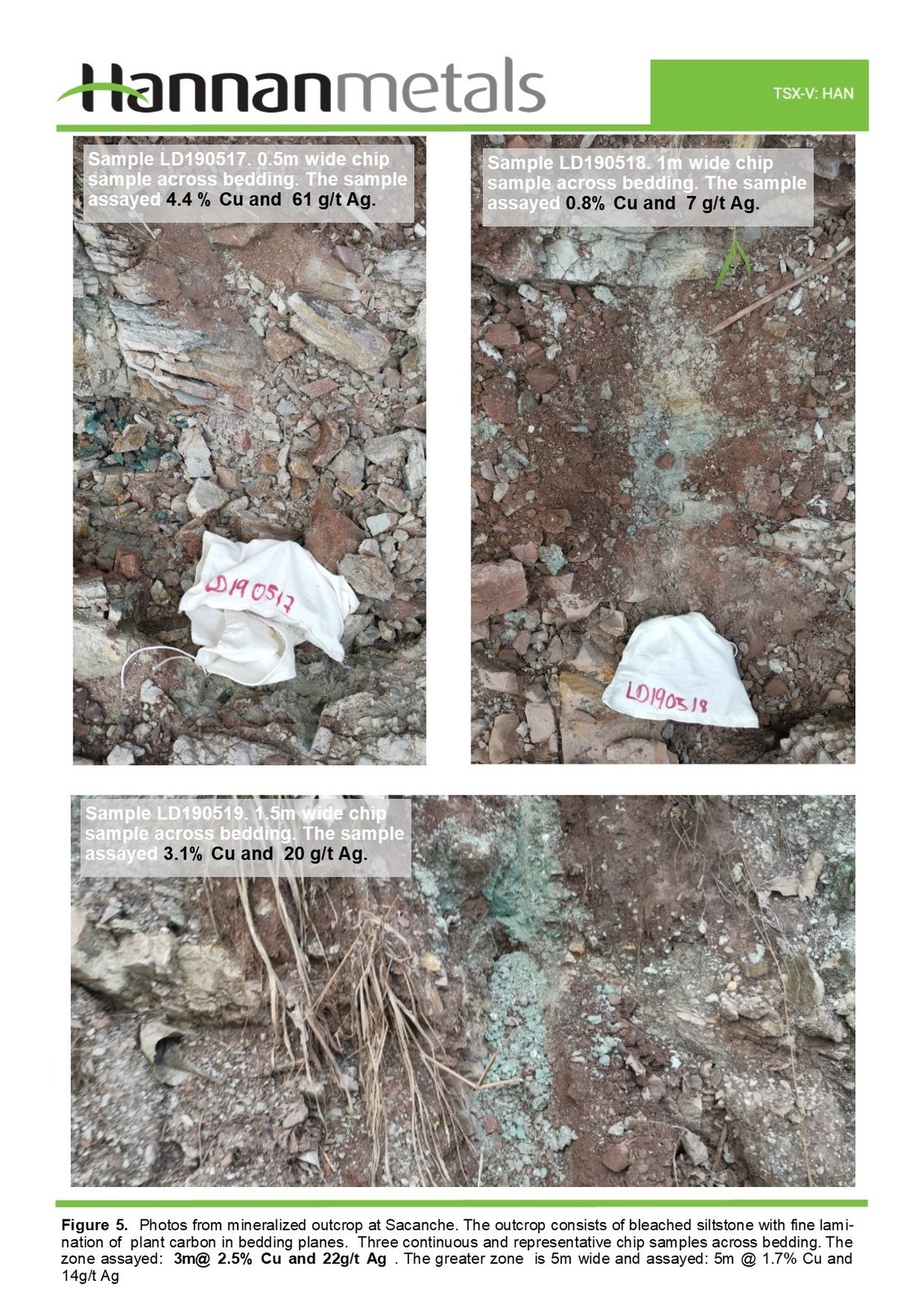 Figure 5. Photos from mineralized outcrop at Sacanche. The outcrop consists of bleached siltstone with fine lamination of plant carbon in bedding planes. Three continous and representative chip samples across bedding. The zone assayed: 3m@ 2.5% Cu and 22 g/t Ag. The greater zone is 5m wide and assayed: 5m @ 1.7% Cu and 14 g/t Ag