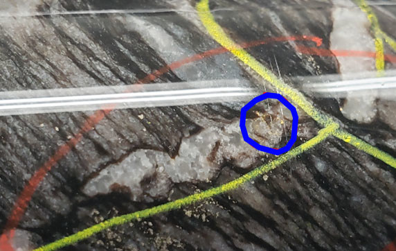 Picture 2: 2020 McFinley Zone Exploration Program – Hole 84L-20-07 – Core Section with visible gold (circled in blue (CNW Group/Battle North Gold Corporation)