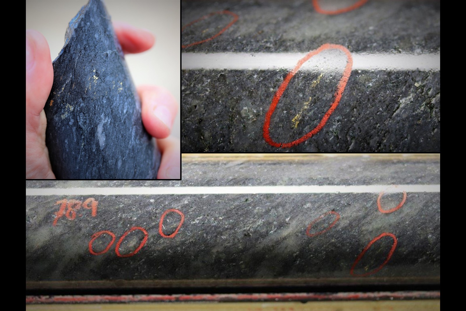Figure 5: Images of coarse disseminated gold from drill hole DNW-011.  Host rock is quartz crystal lapilli tuff in the footwall of the LP Fault.  Images from the Silicified Zone.  Mineralization depicted in these photos is from two selective intervals and is not necessarily indicative of mineralization on the property.