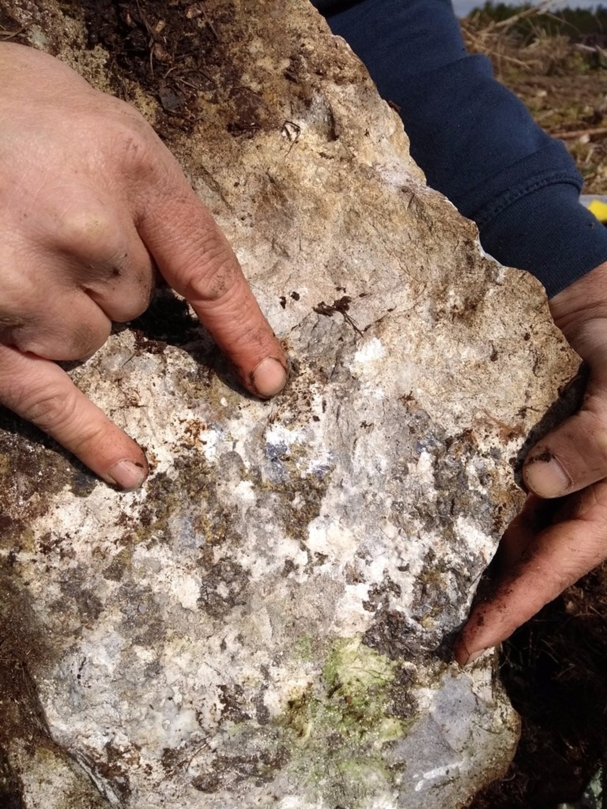 Photo 1 and 2:  Coarse grained galena and sphalerite hosted within calcite and limestone.