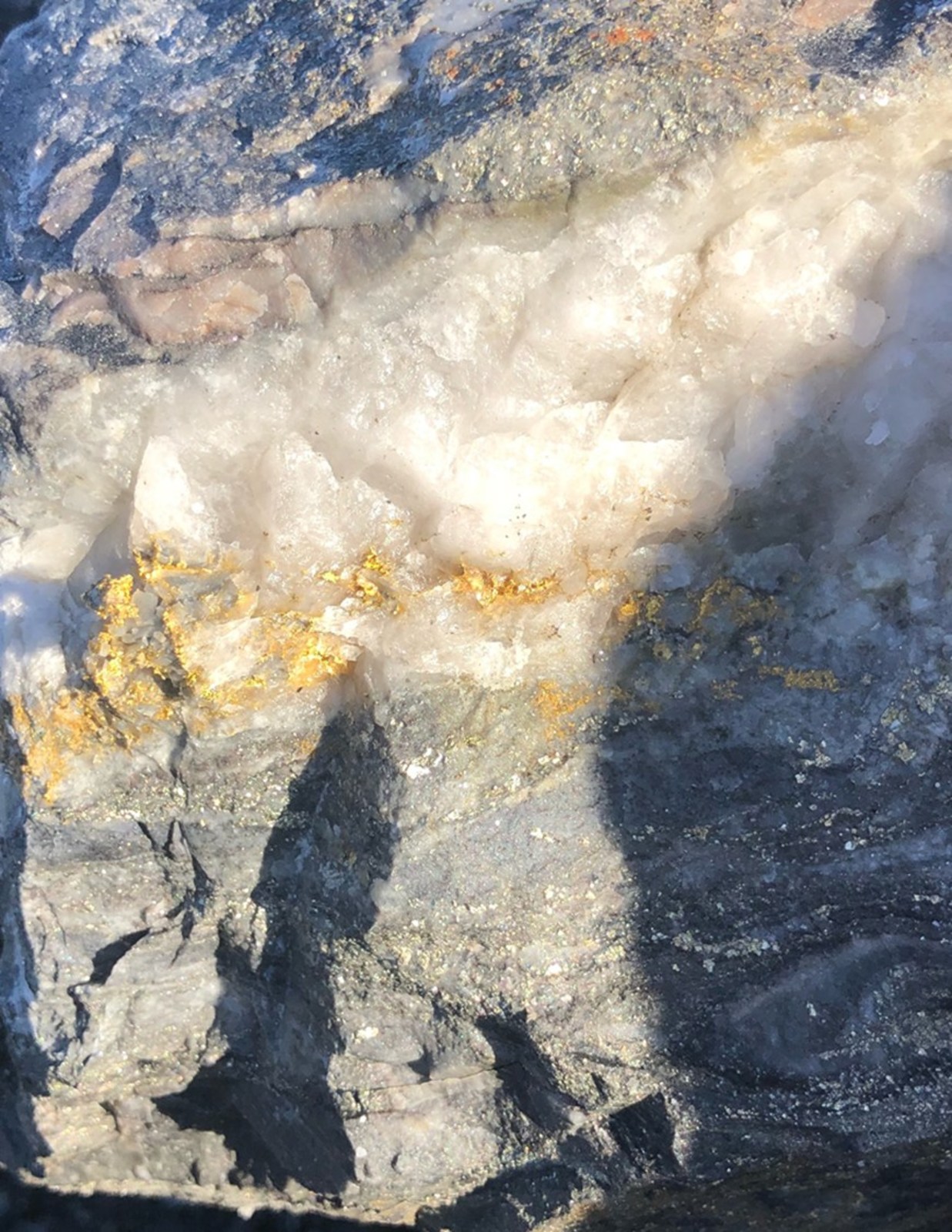 Figure 3: Visible gold from recovered specimen on 14 level exploration drive clearly showing visible gold, quartz, and pyritic sediments