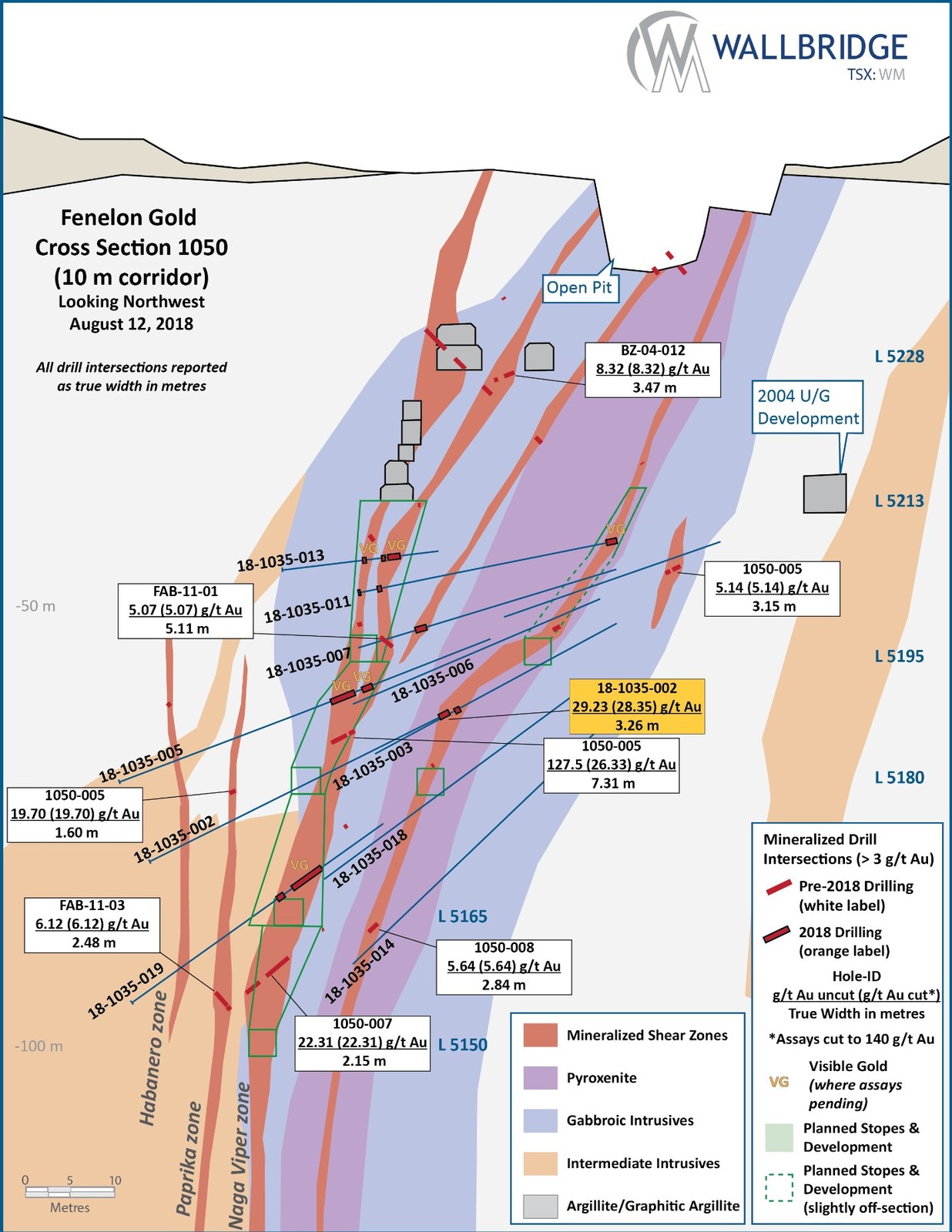 Figure 7:  Fenelon Gold, Cross Section 1050
