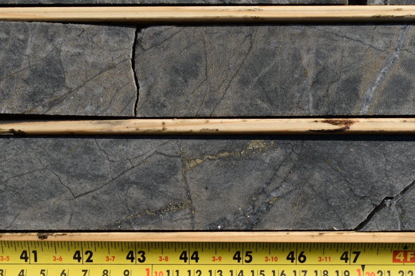 Figure 3.  Photo of core at 917 meters in GTR-19-017 illustrating strong silica-sericite alteration, 10% pyrite, and quartz stringers within the large wide spread mineralized corridor of 910-946.8 meters. (CNW Group/Gatling Exploration Inc.)