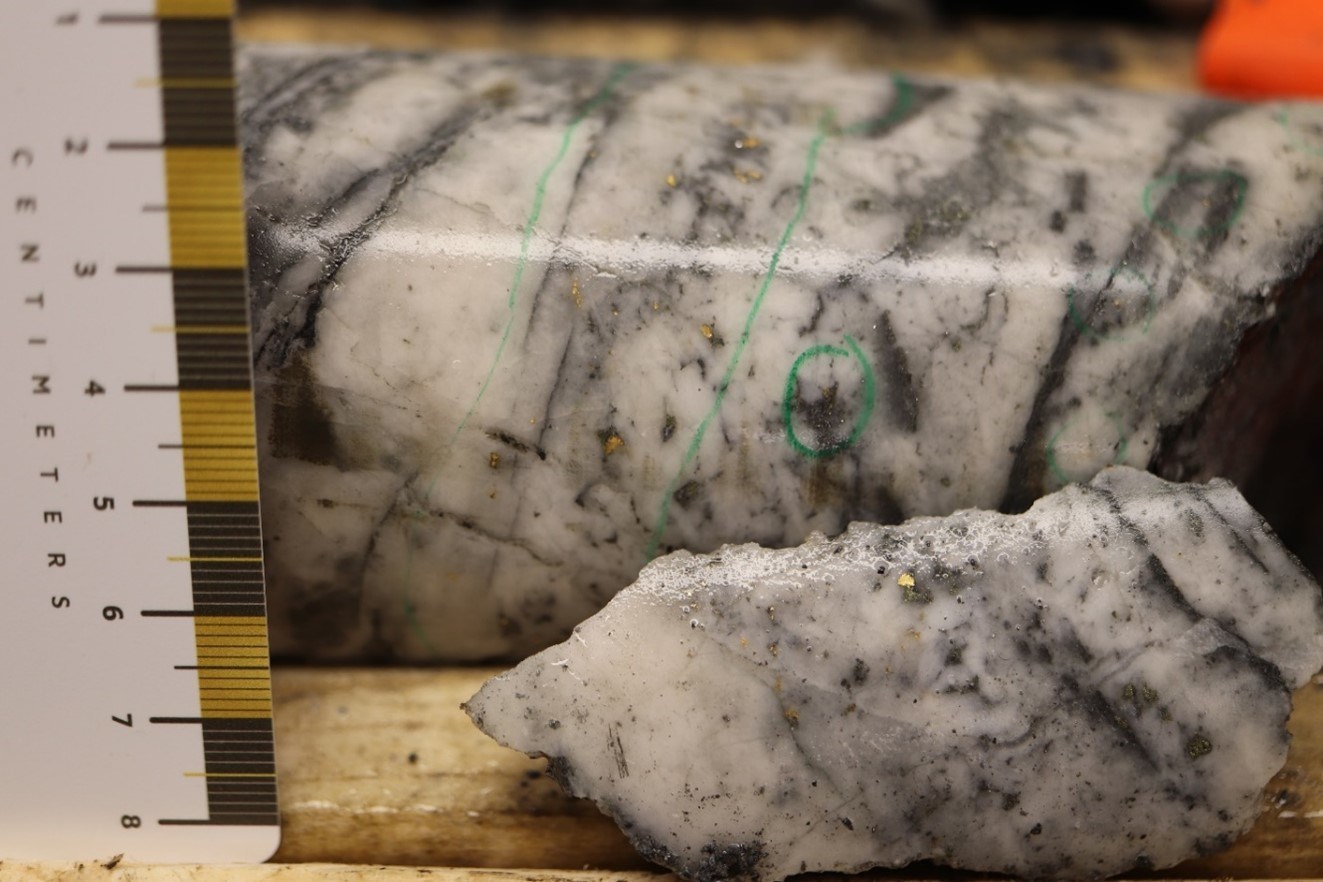 Figure 3. Visible Gold Mineralization in Quartz – NFGC-21-80 at 82.35m depth (CNW Group/New Found Gold Corp.)