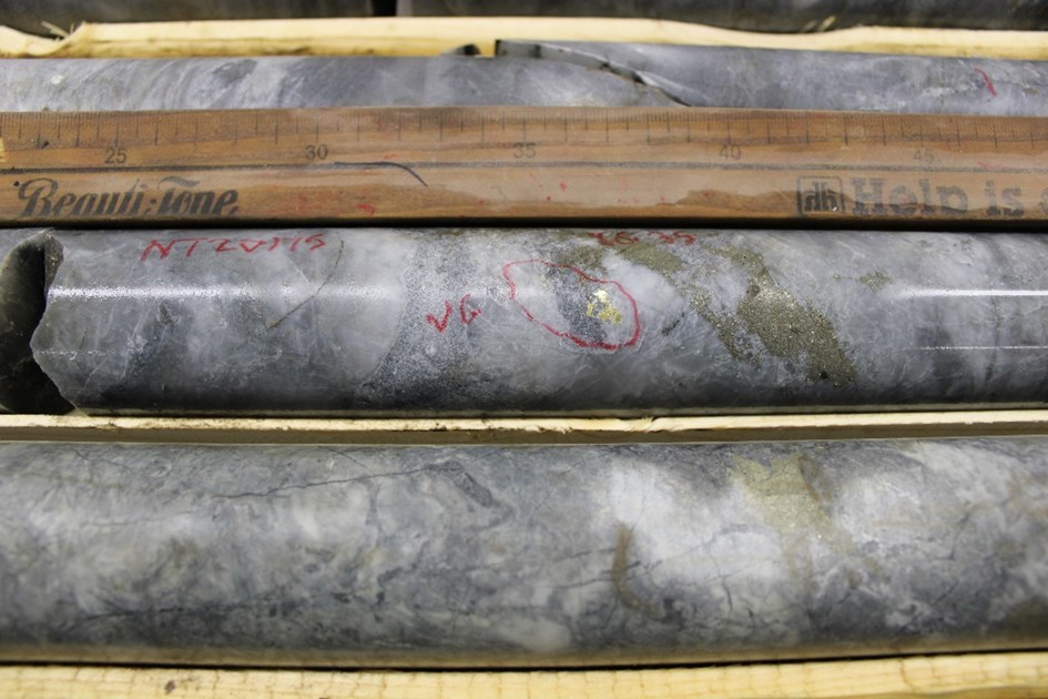 Figure 2:  VG clot in NT20-175 @ 86.35m (CNW Group/Trillium Gold Mines Inc.)