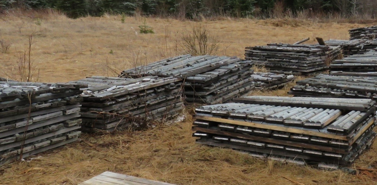 Figure 4: Cross-stacked historical drill core at the Dixie project.  The new Yuma Zone discovery was made when Great Bear sampled previously unrecorded visible gold mineralization in historical drill hole DC-12-07, assaying 2.0 metres of 10.57 g/t gold in the footwall of the LP Fault, 1.4 kilometres southeast of the Bear-Rimini Zone.