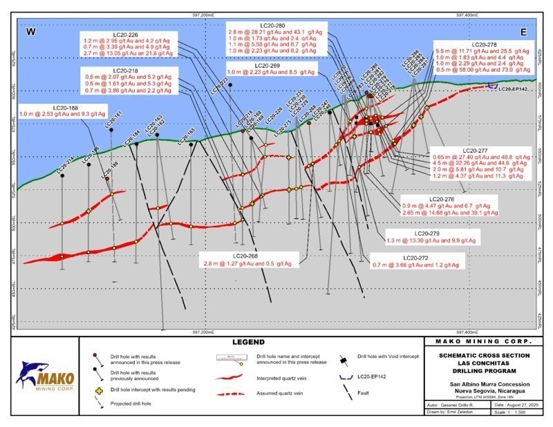 LC SCHEMATIC SECTION (CNW Group/Mako Mining Corp.)