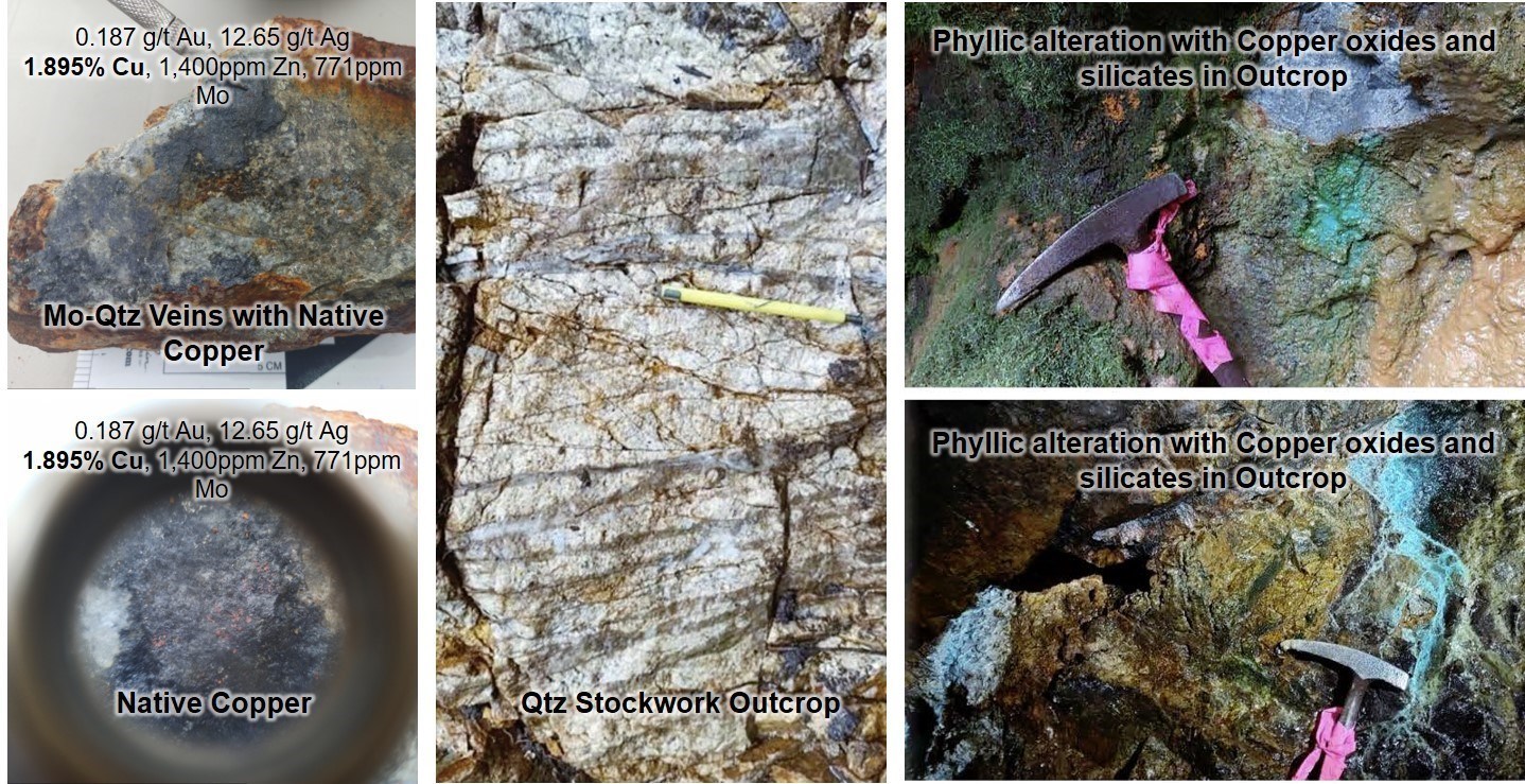 Figure 6. Examples of rock samples from Shakai. (CNW Group/Luminex Resources Corp.)