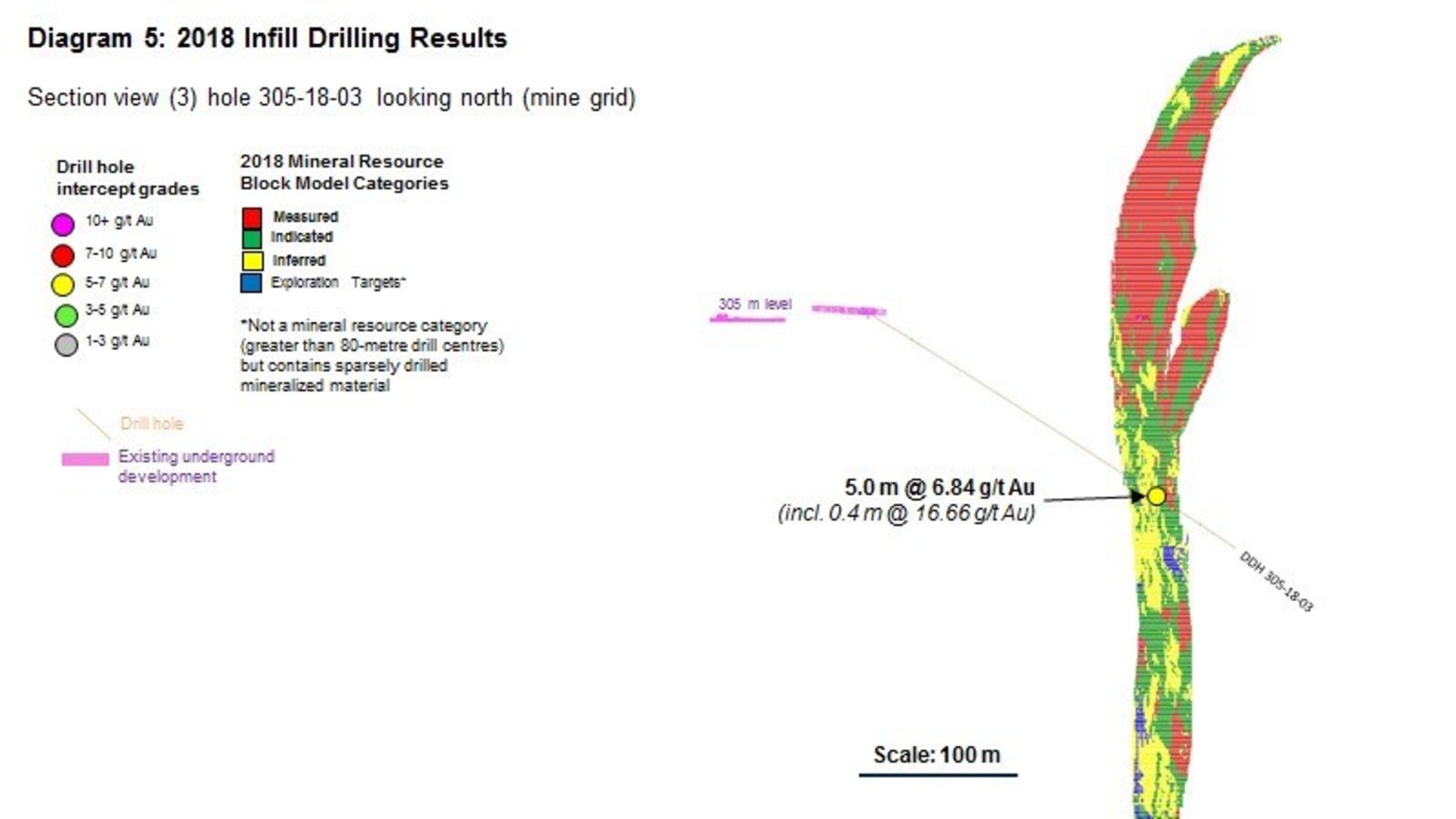 Diagram 5 : 2018 Infill Drilling Results